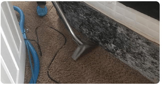 Best Carpet Cleaning Service